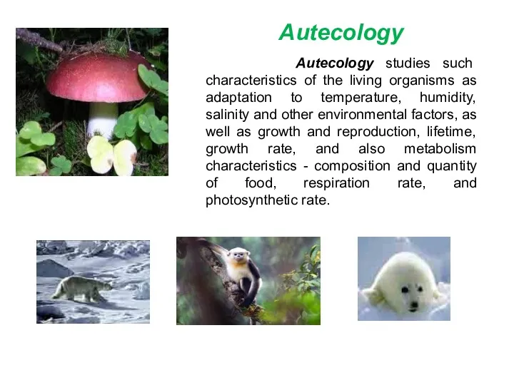 Autecology Autecology studies such characteristics of the living organisms as