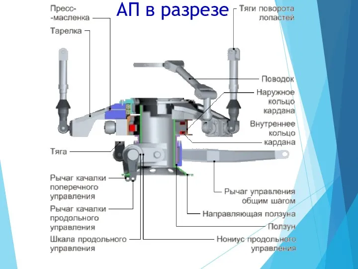 АП в разрезе