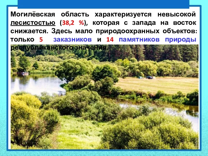 Могилёвская область характеризуется невысокой лесистостью (38,2 %), которая с запада