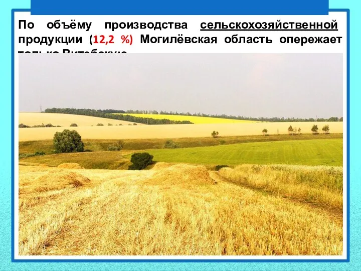 По объёму производства сельскохозяйственной продукции (12,2 %) Могилёвская область опережает только Витебскую.
