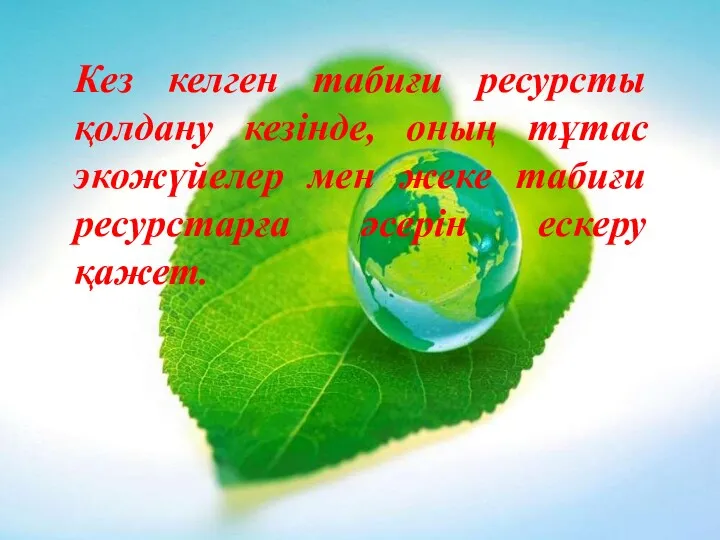 Кез келген табиғи ресурсты қолдану кезінде, оның тұтас экожүйелер мен жеке табиғи ресурстарға әсерін ескеру қажет.