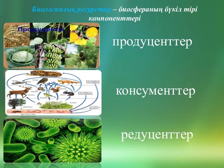 Биологиялық ресурстар – биосфераның бүкіл тірі компоненттері продуценттер консументтер редуценттер