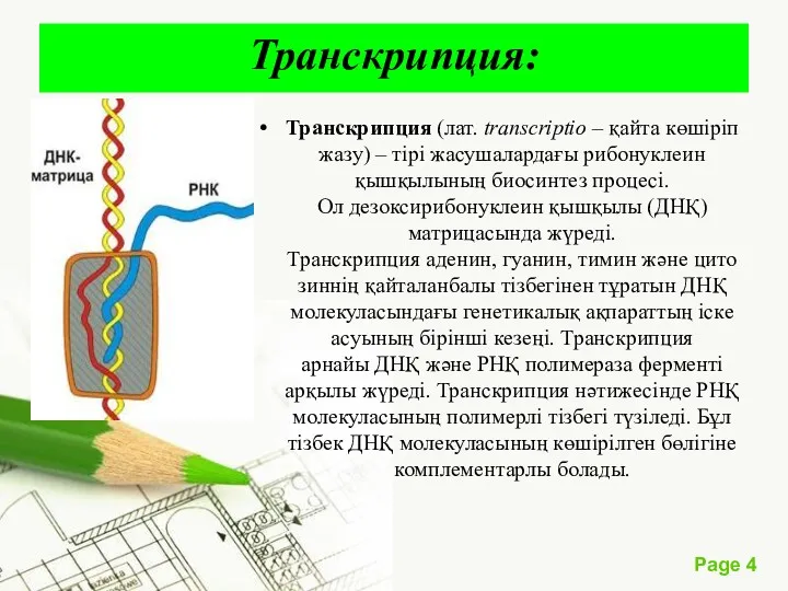 Транскрипция: Транскрипция (лат. transcrіptіo – қайта көшіріп жазу) – тірі