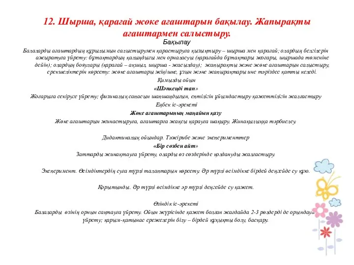 12. Шырша, қарағай жөке ағаштарын бақылау. Жапырақты ағаштармен салыстыру. Бақылау