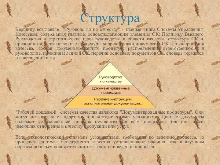 Структура Вершину возглавляет "Руководство по качеству" - главная книга Системы