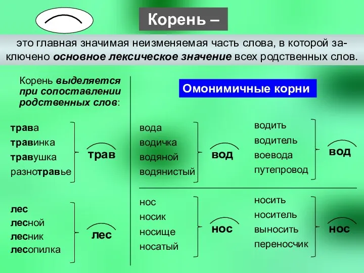 Корень – это главная значимая неизменяемая часть слова, в которой