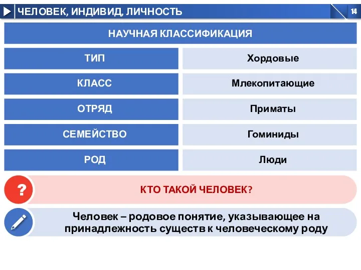 НАУЧНАЯ КЛАССИФИКАЦИЯ Хордовые ТИП Млекопитающие КЛАСС Приматы ОТРЯД Гоминиды СЕМЕЙСТВО