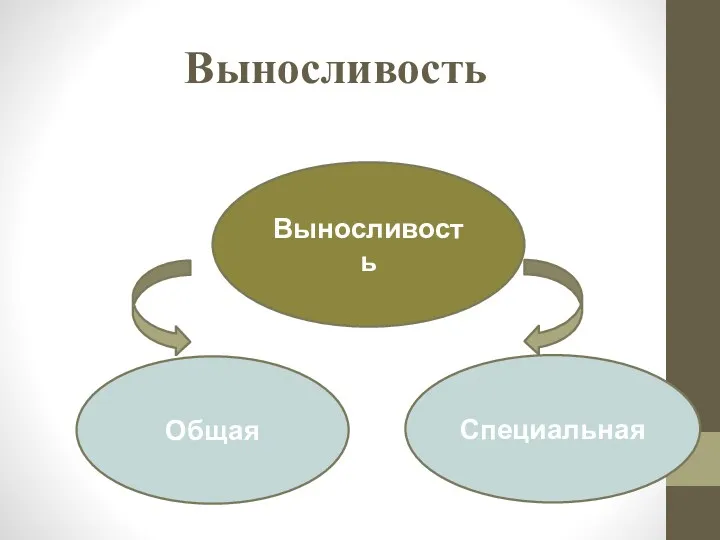 Выносливость Общая Специальная Выносливость