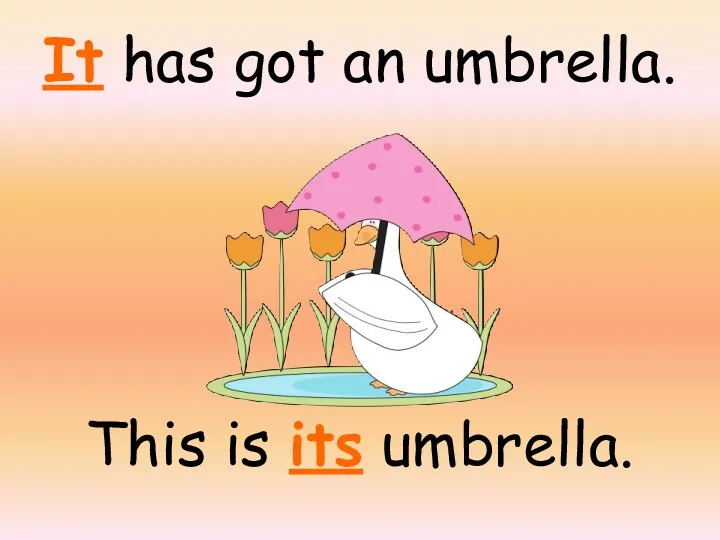 It has got an umbrella. This is its umbrella.