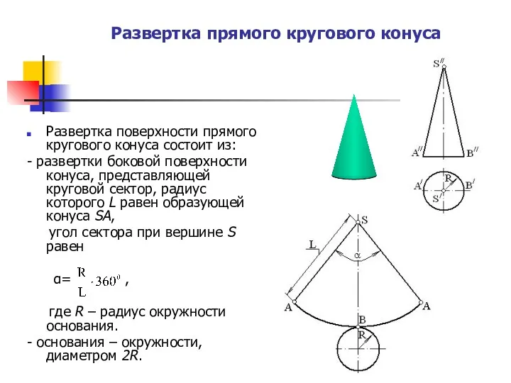 Развертка прямого кругового конуса Развертка поверхности прямого кругового конуса состоит