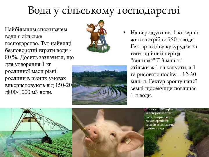 Вода у сільському господарстві Найбільшим споживачем води є сільське господарство.