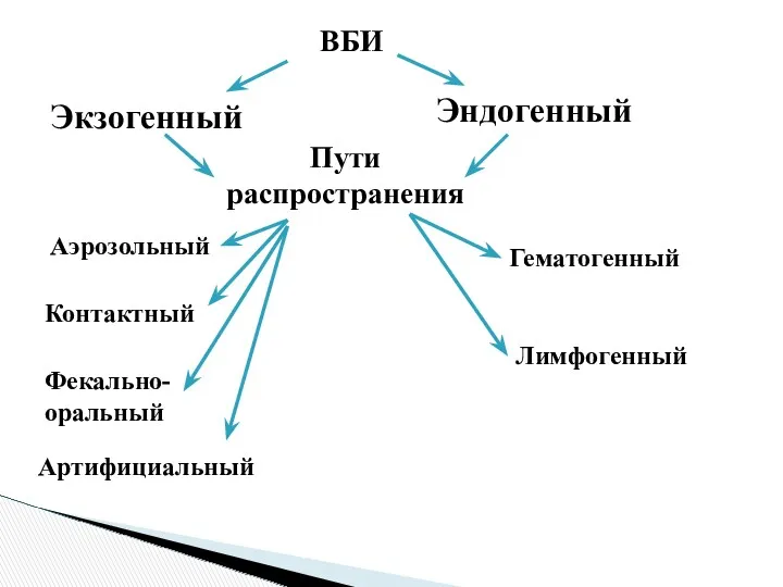 ВБИ Экзогенный Эндогенный Пути распространения Аэрозольный Контактный Фекально-оральный Артифициальный Гематогенный Лимфогенный