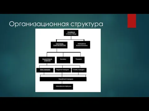 Организационная структура