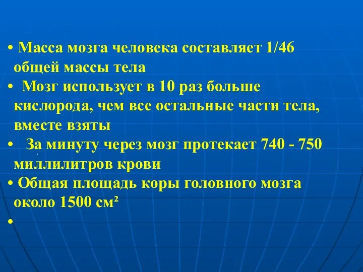 . Масса мозга человека составляет 1/46 общей массы тела Мозг