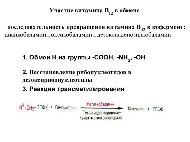 Участие витамина В12 в обмене последовательность превращения витамина В12 в