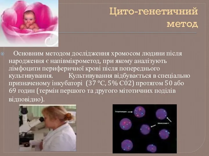 Цито-генетичний метод Основним методом дослідження хромосом людини після народження є напівмікрометод, при якому