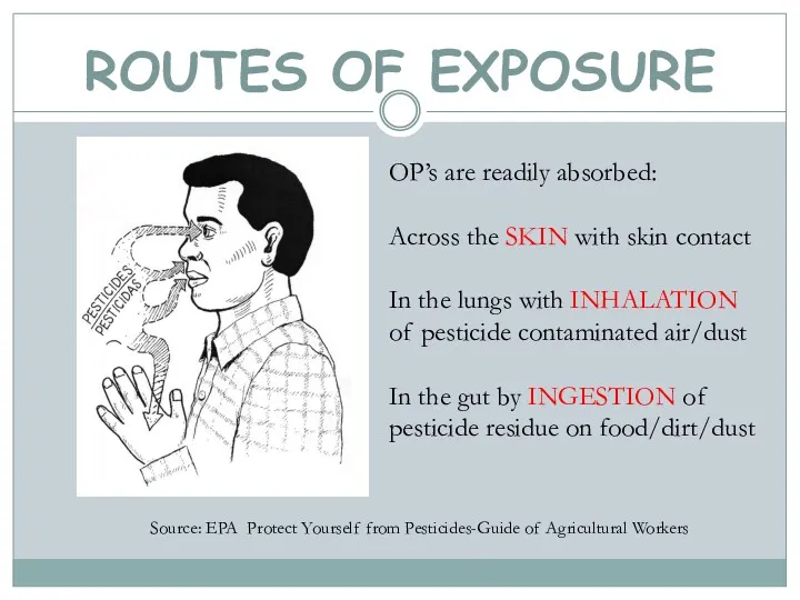 ROUTES OF EXPOSURE Source: EPA Protect Yourself from Pesticides-Guide of