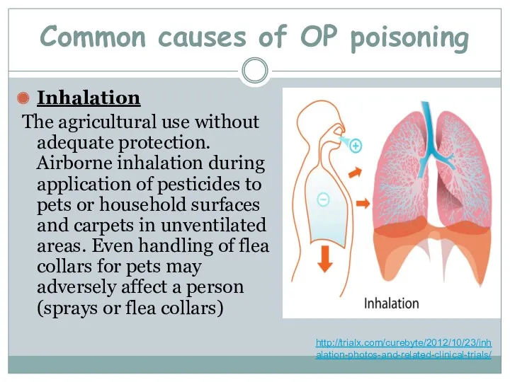 Common causes of OP poisoning Inhalation The agricultural use without adequate protection. Airborne