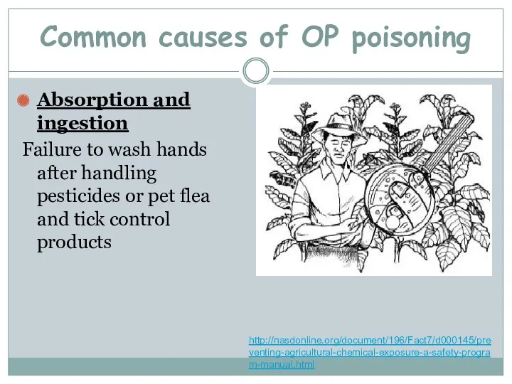 Absorption and ingestion Failure to wash hands after handling pesticides or pet flea