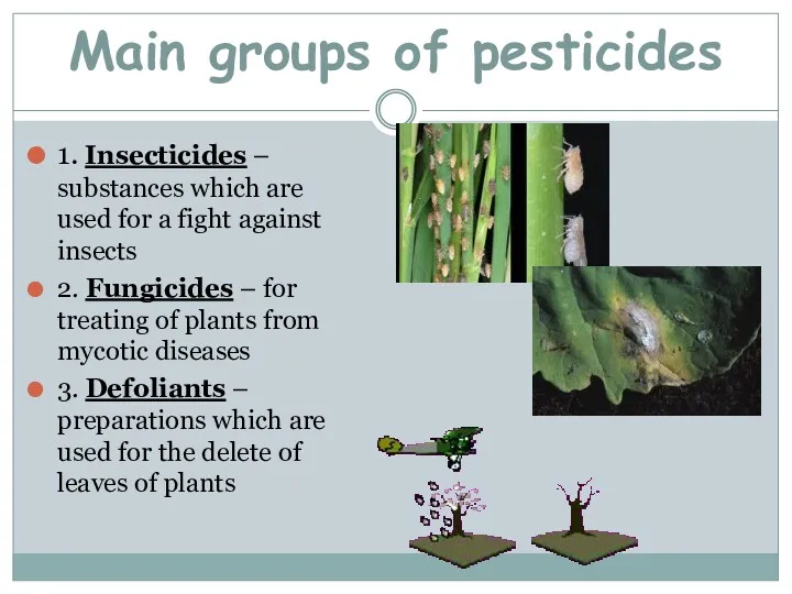 Main groups of pesticides 1. Insecticides – substances which are used for a