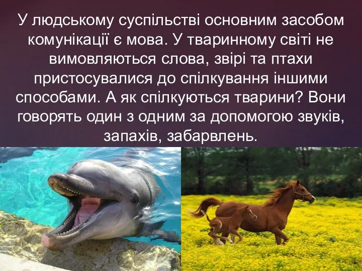 У людському суспільстві основним засобом комунікації є мова. У тваринному