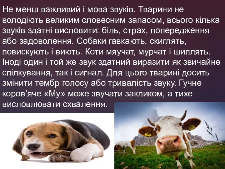 Не менш важливий і мова звуків. Тварини не володіють великим