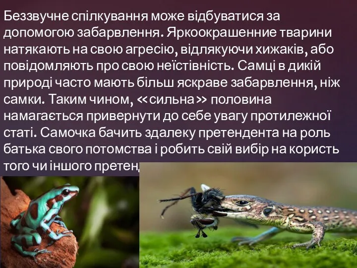 Беззвучне спілкування може відбуватися за допомогою забарвлення. Яркоокрашенние тварини натякають