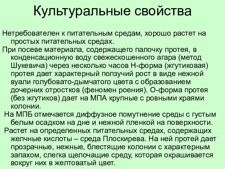 Культуральные свойства Нетребователен к питательным средам, хорошо растет на простых