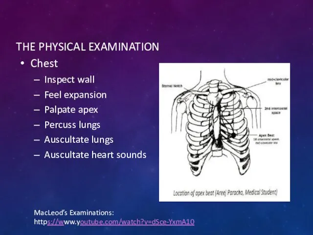 THE PHYSICAL EXAMINATION Chest Inspect wall Feel expansion Palpate apex