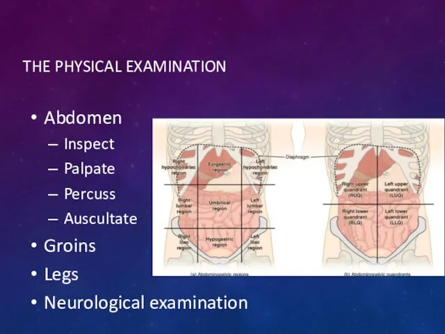 THE PHYSICAL EXAMINATION Abdomen Inspect Palpate Percuss Auscultate Groins Legs Neurological examination