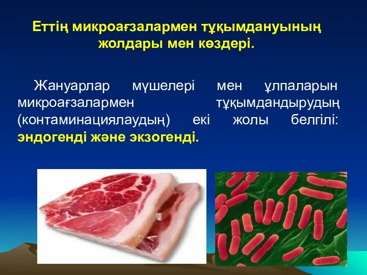 Еттің микроағзалармен тұқымдануының жолдары мен көздері. Жануарлар мүшелері мен ұлпаларын