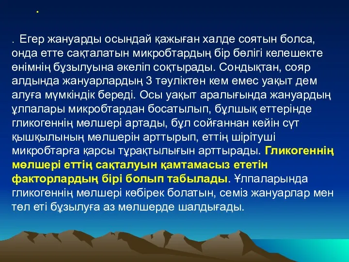 . Егер жануарды осындай қажыған халде соятын болса, онда етте