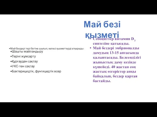 Май бездері тері бетіне шығып, келесі қызметтерді атқарады: Шашты майландыру Теріні жұмсарту Құрғаудан