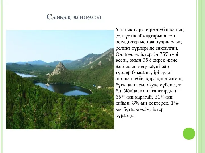 Саябақ флорасы Ұлттық паркте республиканың солтүстік аймақтарына тән өсімдіктер мен