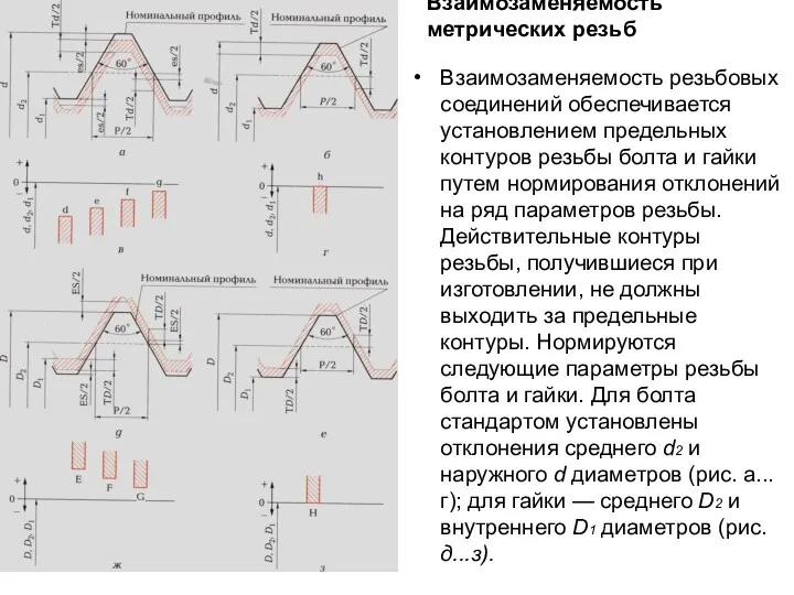 Взаимозаменяемость резьбовых соединений обеспечивается установлением предельных контуров резьбы болта и