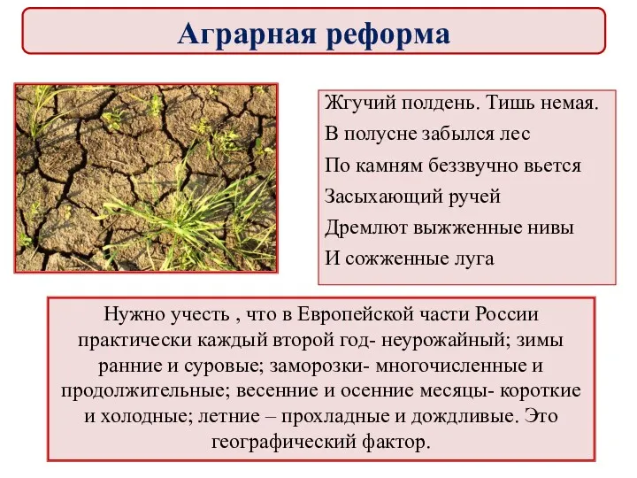 Нужно учесть , что в Европейской части России практически каждый второй год- неурожайный;