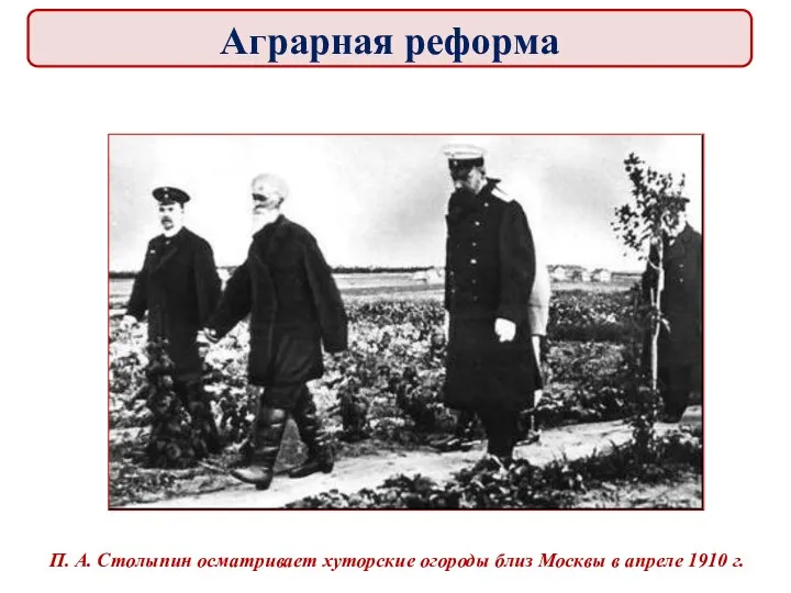 П. А. Столыпин осматривает хуторские огороды близ Москвы в апреле 1910 г. Аграрная реформа