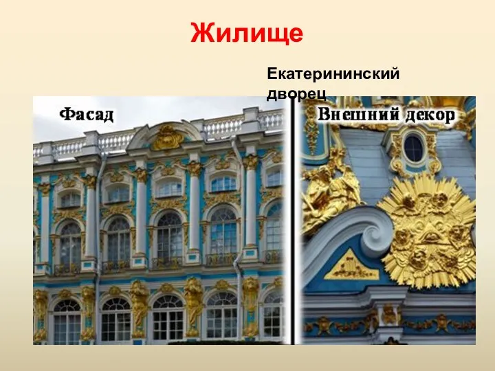 Жилище Екатерининский дворец