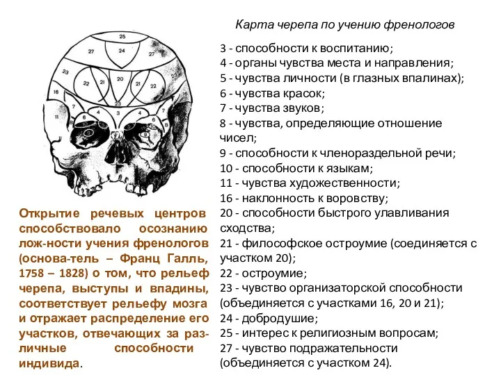 3 - способности к воспитанию; 4 - органы чувства места