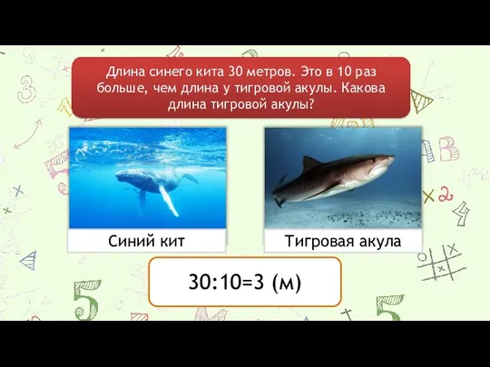 Длина синего кита 30 метров. Это в 10 раз больше,