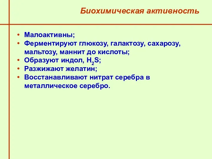 Биохимическая активность Малоактивны; Ферментируют глюкозу, галактозу, сахарозу, мальтозу, маннит до