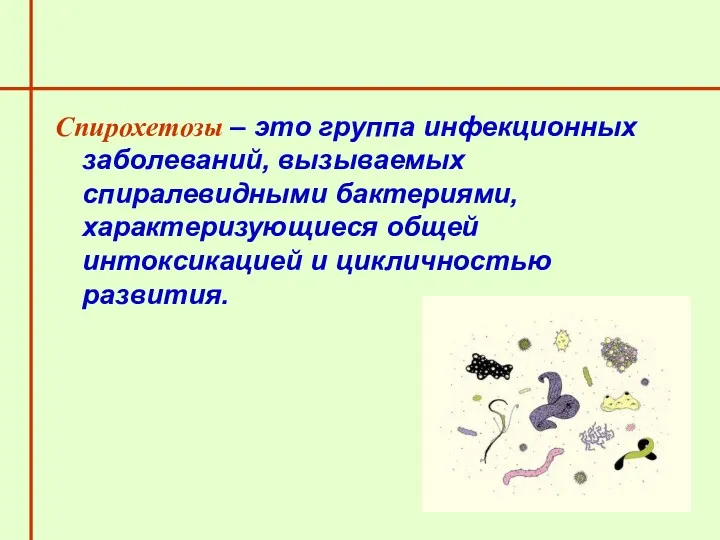 Спирохетозы – это группа инфекционных заболеваний, вызываемых спиралевидными бактериями, характеризующиеся общей интоксикацией и цикличностью развития.