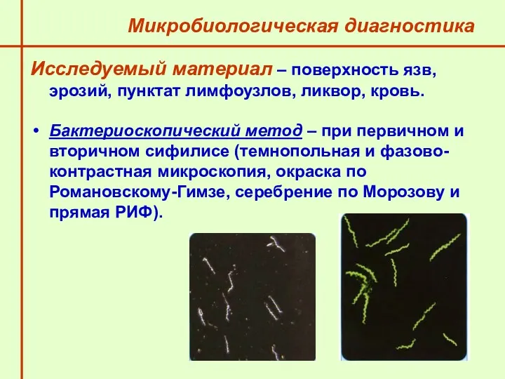 Микробиологическая диагностика Исследуемый материал – поверхность язв, эрозий, пунктат лимфоузлов,