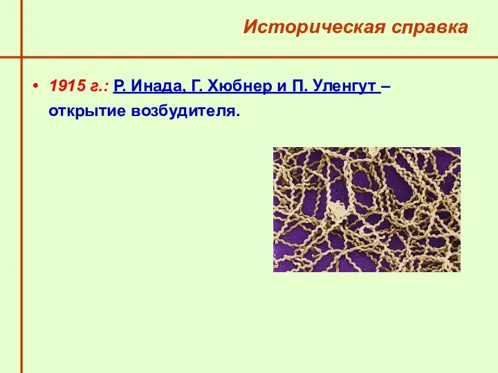 Историческая справка 1915 г.: Р. Инада, Г. Хюбнер и П. Уленгут – открытие возбудителя.