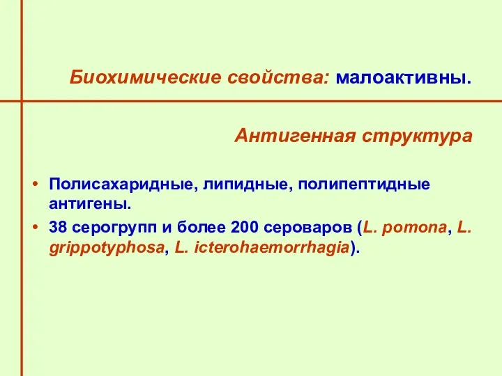 Биохимические свойства: малоактивны. Антигенная структура Полисахаридные, липидные, полипептидные антигены. 38