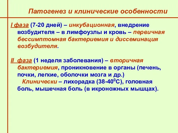 Патогенез и клинические особенности I фаза (7-20 дней) – инкубационная,