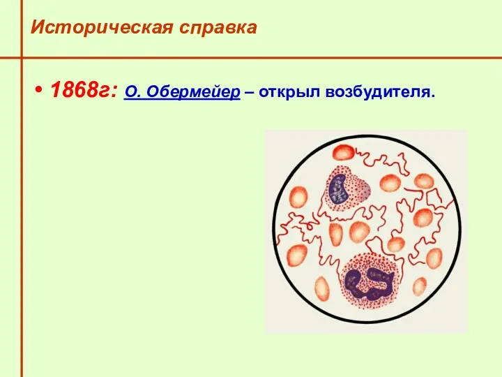 Историческая справка 1868г: О. Обермейер – открыл возбудителя.