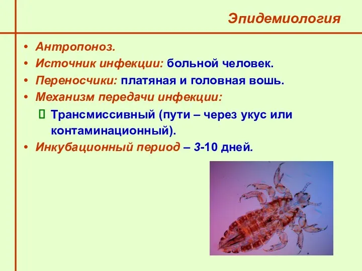 Эпидемиология Антропоноз. Источник инфекции: больной человек. Переносчики: платяная и головная