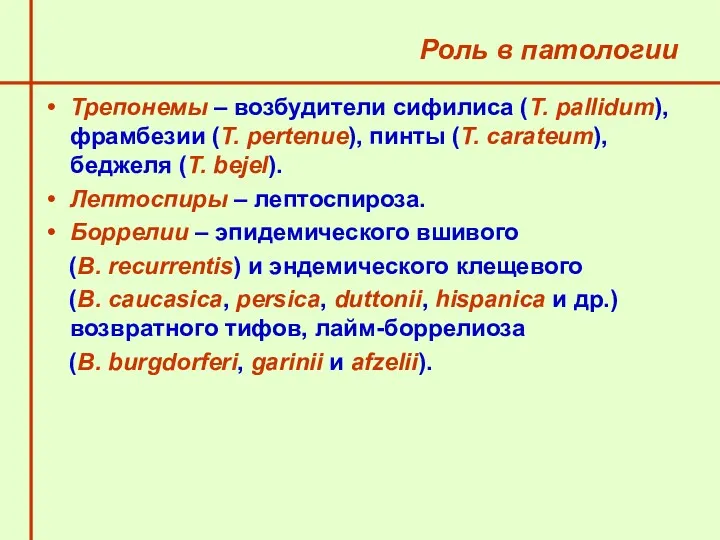 Роль в патологии Трепонемы – возбудители сифилиса (Т. pallidum), фрамбезии