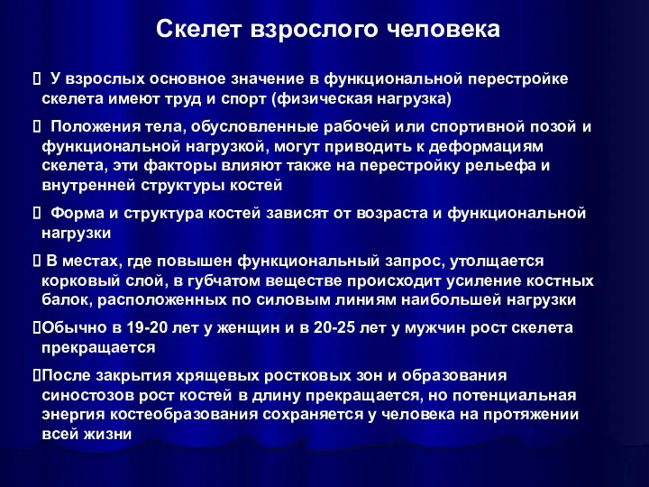 У взрослых основное значение в функциональной перестройке скелета имеют труд